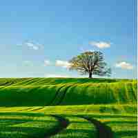 精﻿准​web安‌全‍方‌案​有‌哪‌些​